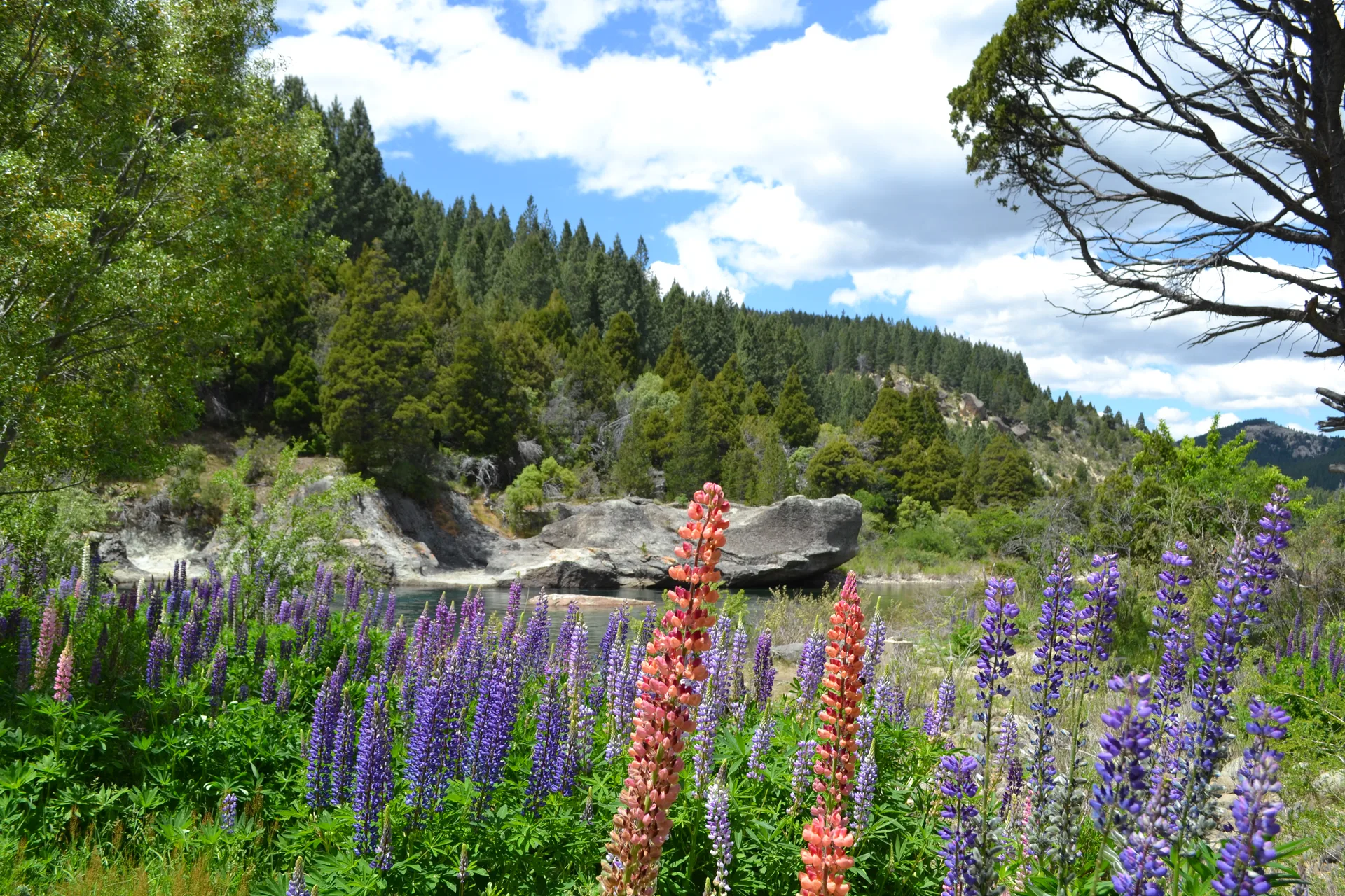 What to Keep in Mind for Trekking in Spring in Patagonia?